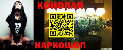 ешки Краснодар