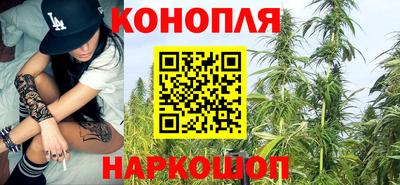 дмт Краснознаменск