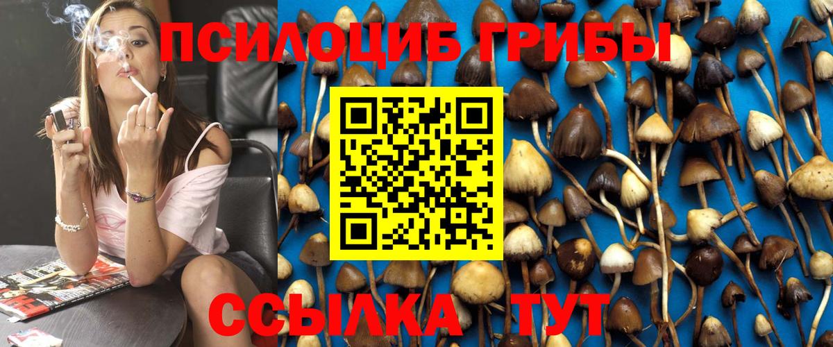 Псилоцибиновые грибы GOLDEN TEACHER Камышлов