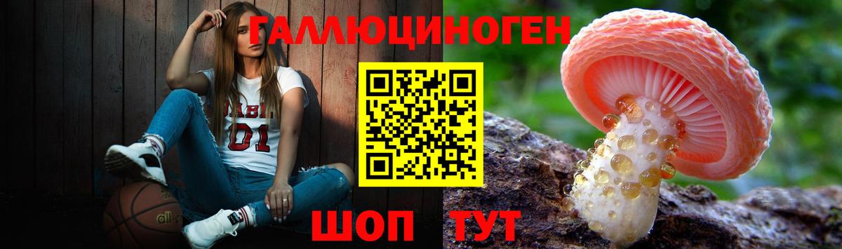 Галлюциногенные грибы Psilocybine cubensis  Вход с VPN  Камышлов 